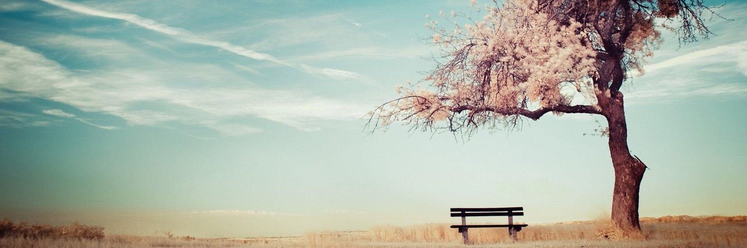 grayceT__'s profile banner image