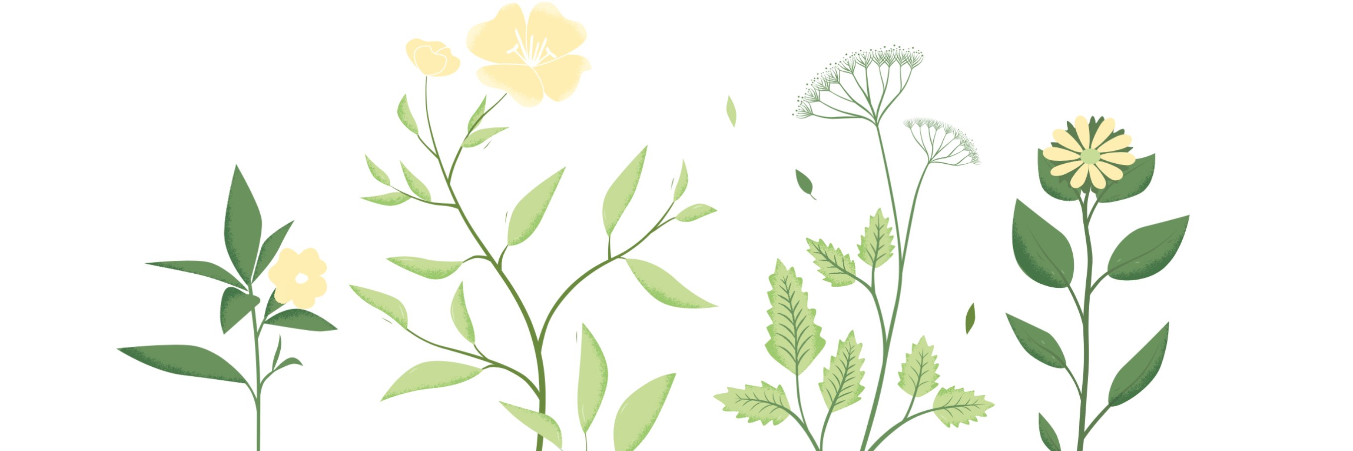 Productmanagers.space banner