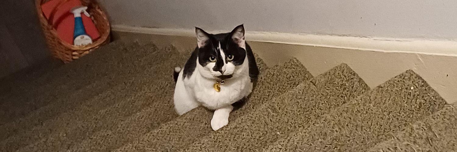 On Leather Wings 💀🖤🏳️‍⚧️ banner