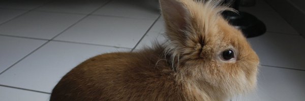 TheoPantamis Profile Banner