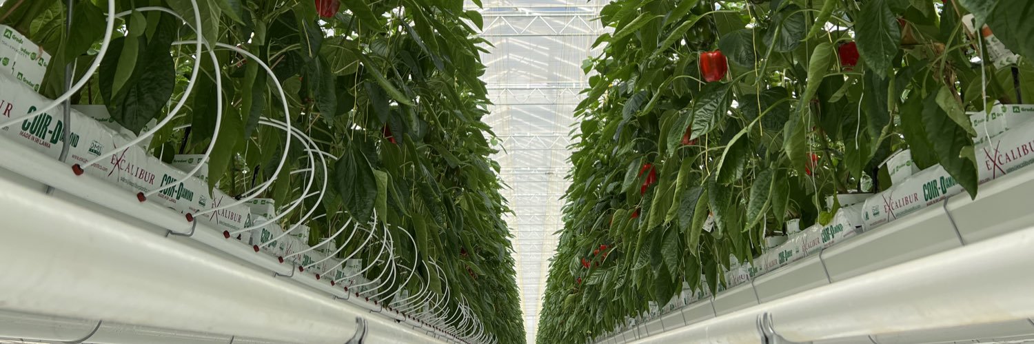 Mike Cornelissen banner