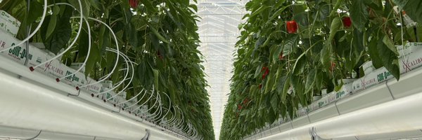 no_till Profile Banner