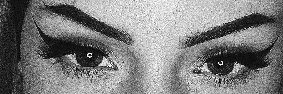 𝒇𝒍𝒂𝒌𝒂 🕷 banner