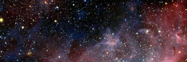 Im_ATomato Profile Banner