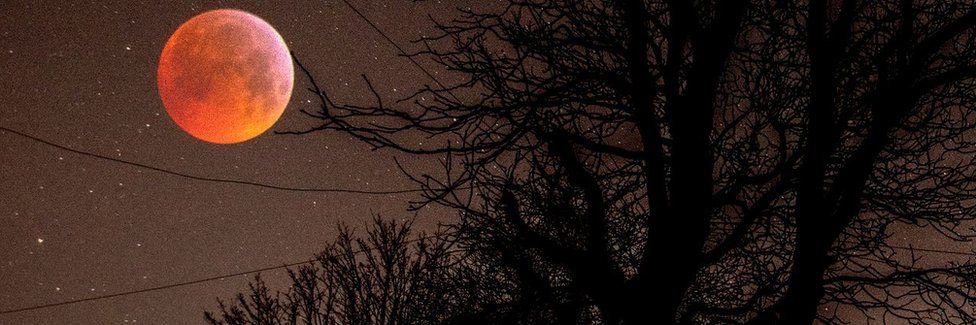 HarpersFaery's profile banner image