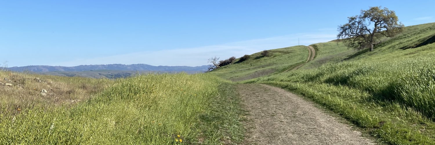 vikastandon's profile banner image