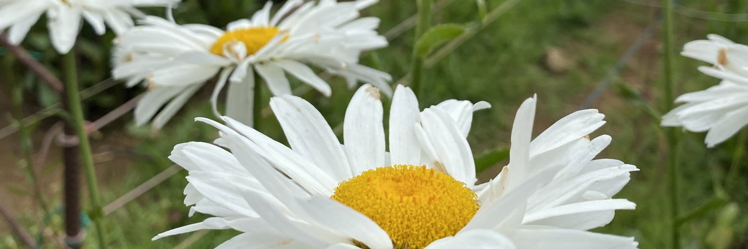 dn_nsnsn's profile banner image