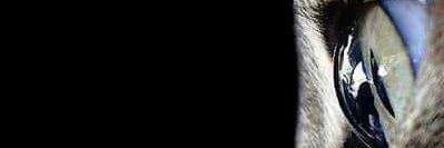 Hotman86Cinta's profile banner image