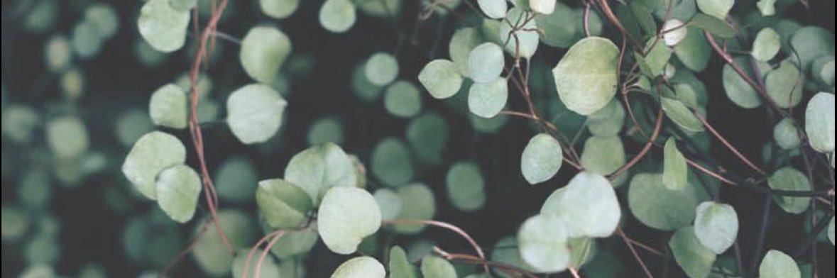 angela🌼 banner
