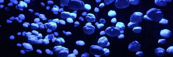 johnny_bugler Profile Banner