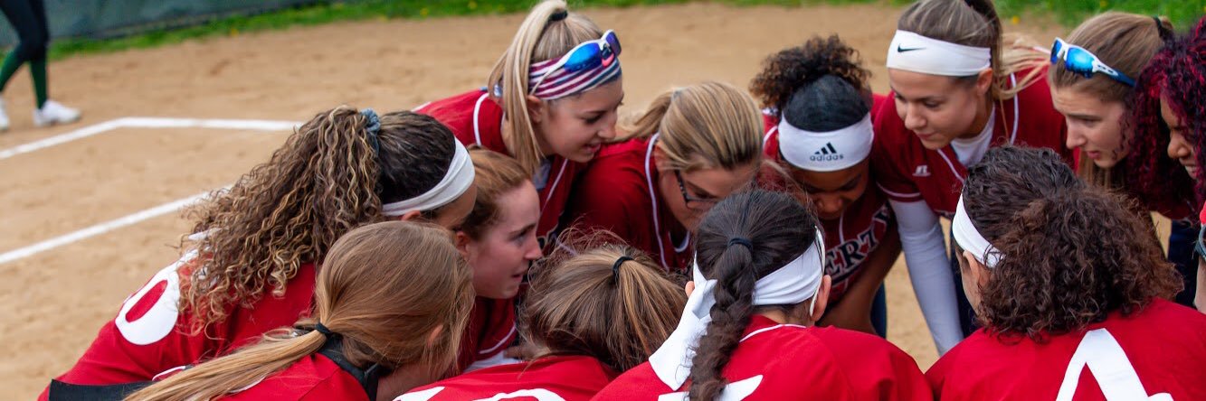 Liberty Softball banner