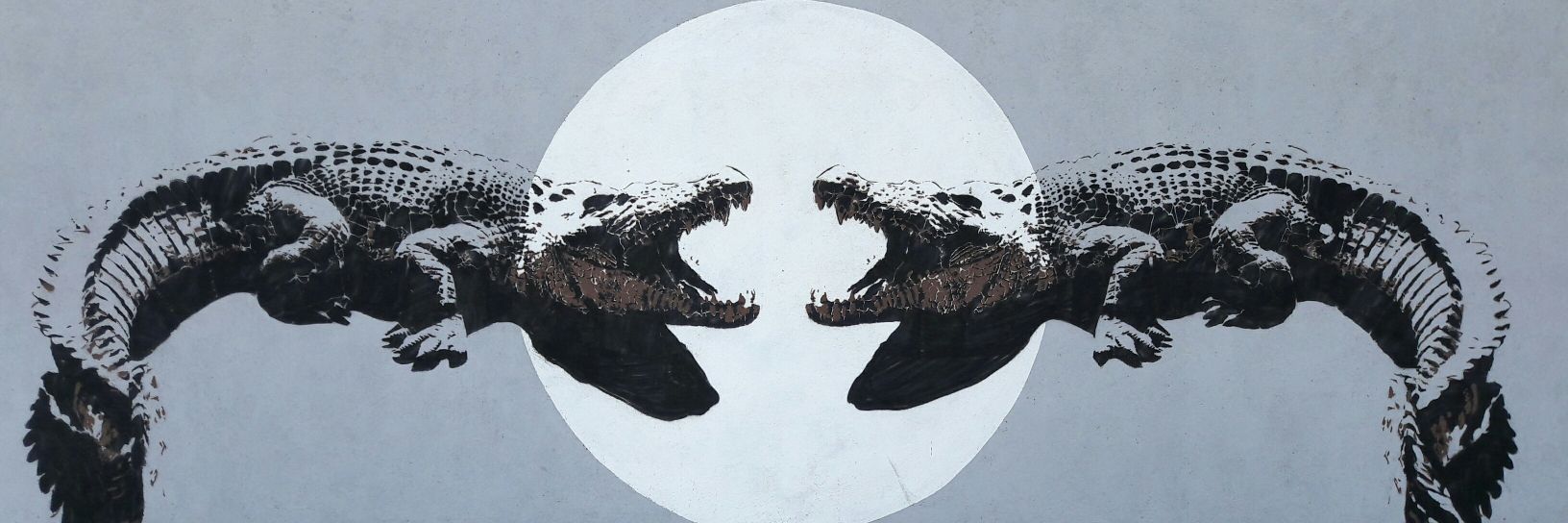 eLSimonMX's profile banner image