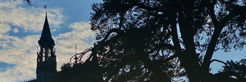 339Erin222's profile banner image