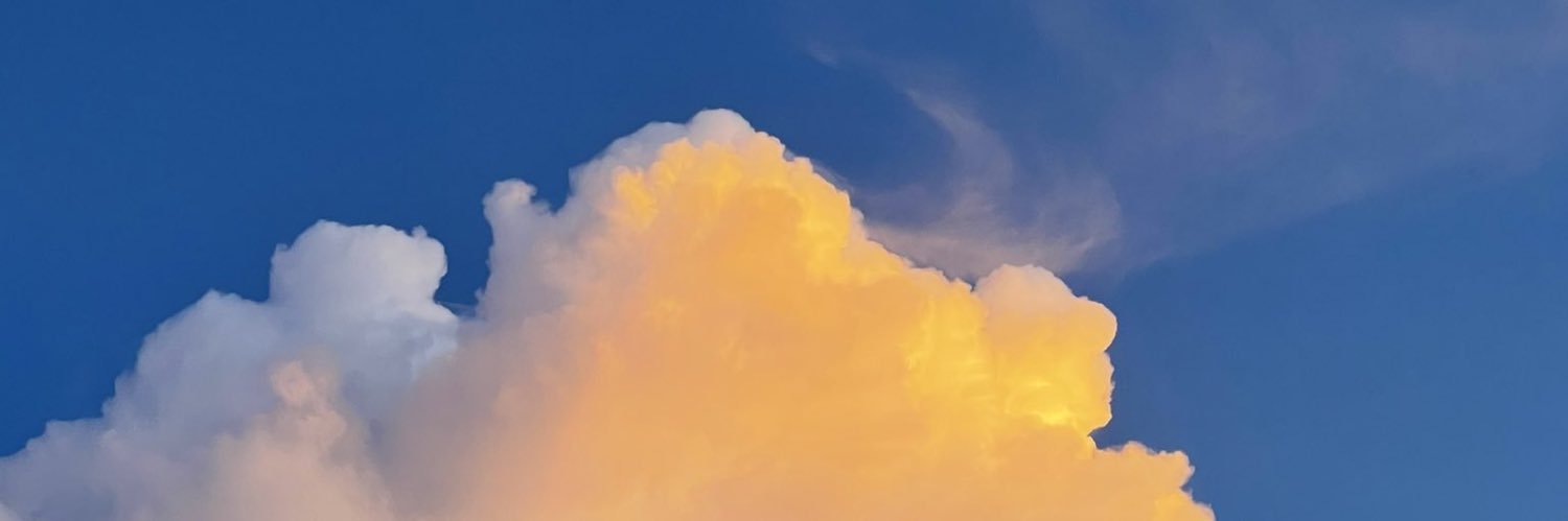 Nat_Hyegun's profile banner image