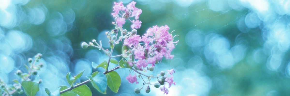 aminsi_'s profile banner image