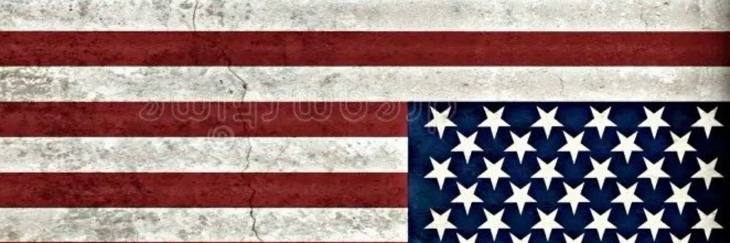 MG Taylor🇺🇸 banner