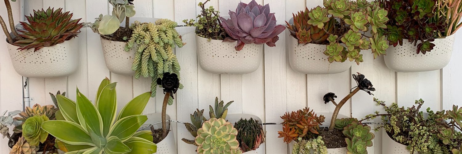 Mylene 🏝️ lene.bsky banner