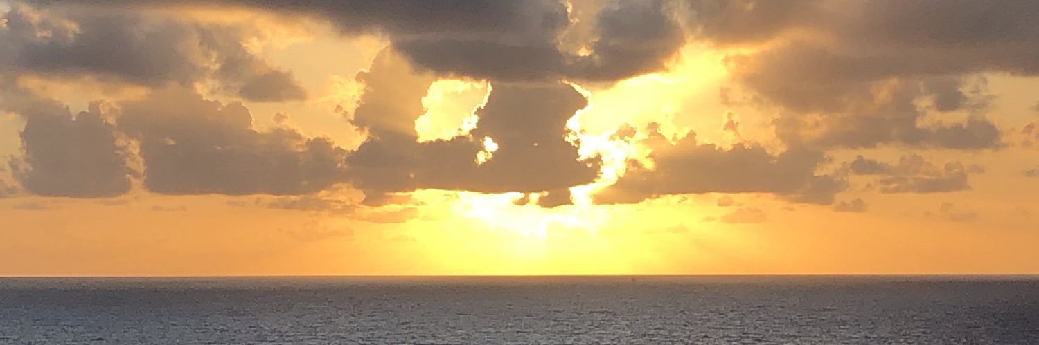 RJW Hawaiian Shirt Guy banner