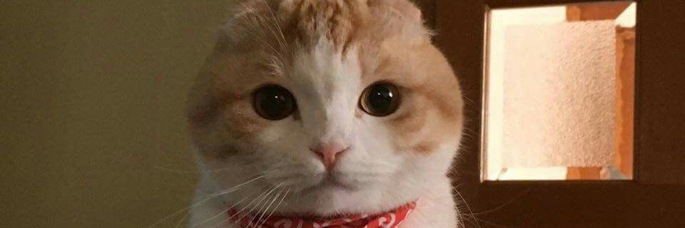 ถังแก๊สยังเล็กกว่า banner