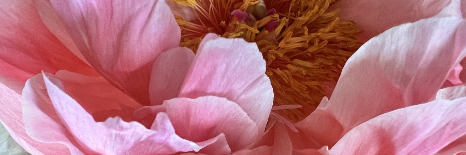 BRBoxing's profile banner image