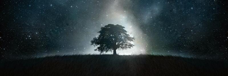 ajraw88's profile banner image