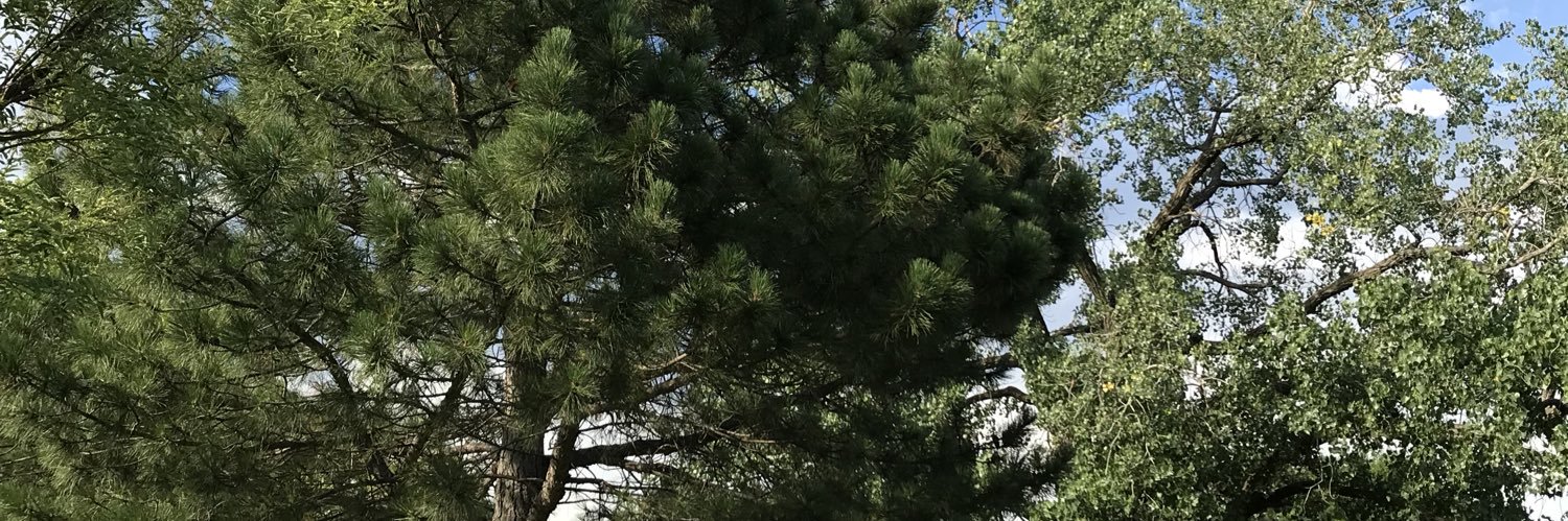mikereyesc's profile banner image