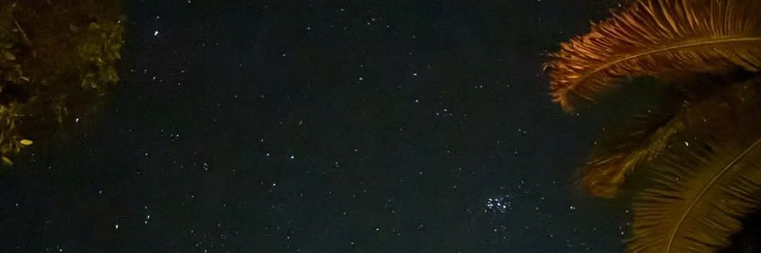 just_grayman's profile banner image