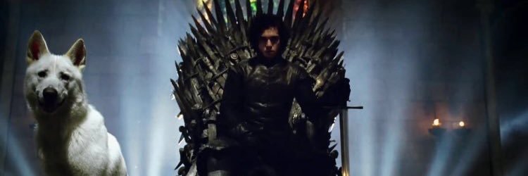 Garret Fitzgerald banner