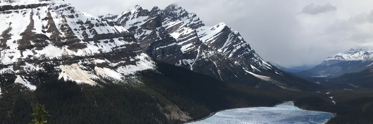 J.T Patterson banner