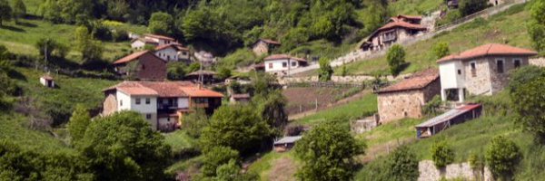 lilyalias Profile Banner