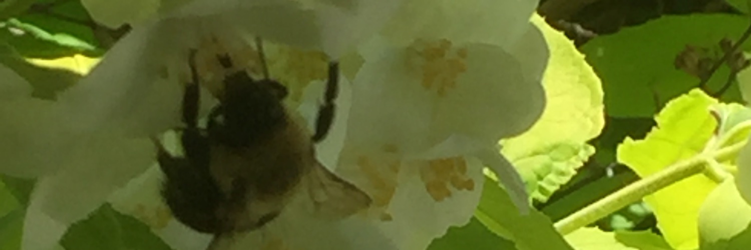 ErthMffn's profile banner image