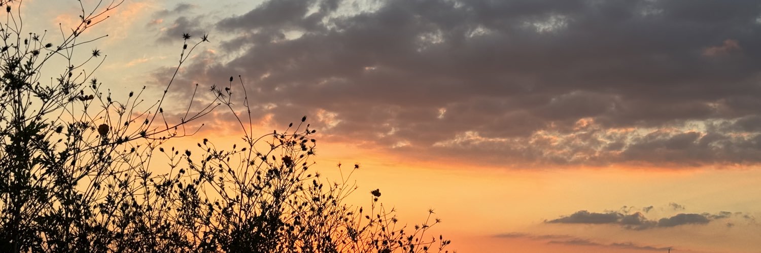 ____4tntn's profile banner image