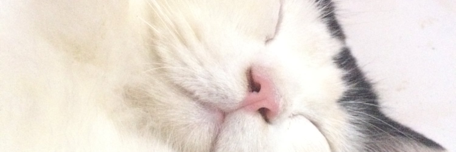 riri banner