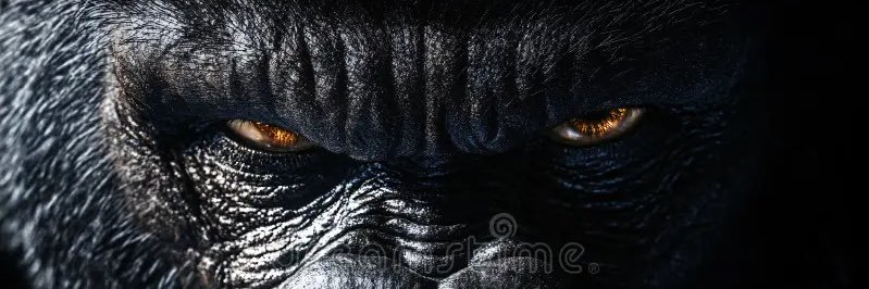 Johnathan Scott banner