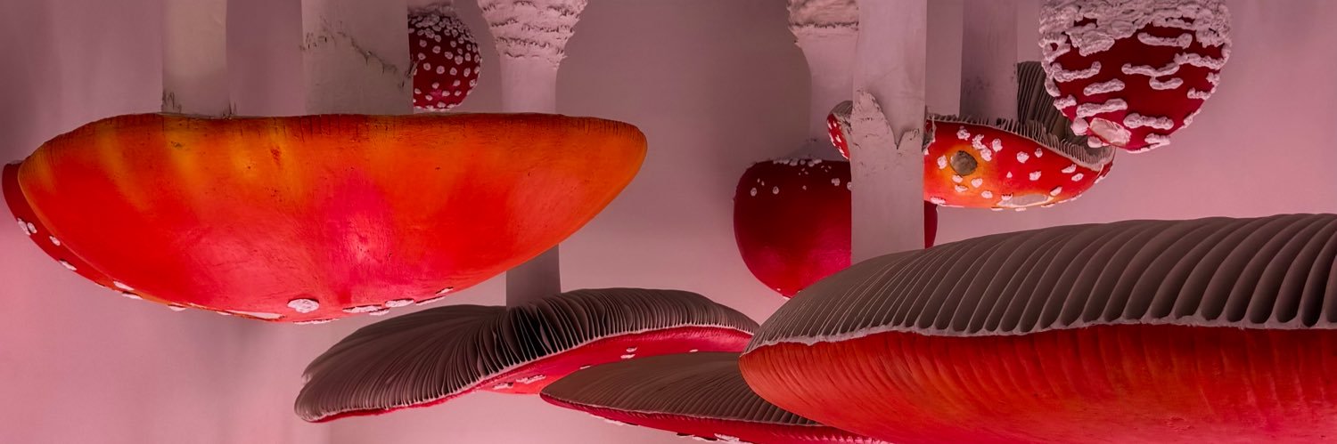 L&W banner