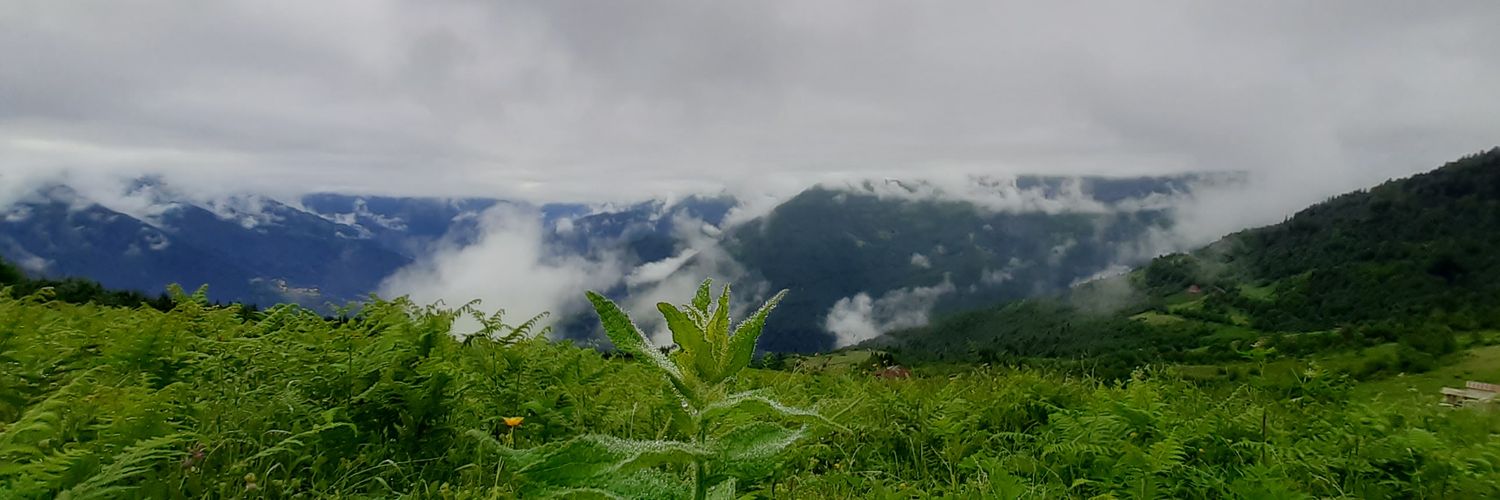 vveliogluu's profile banner image
