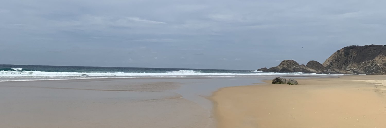 esalasmal's profile banner image