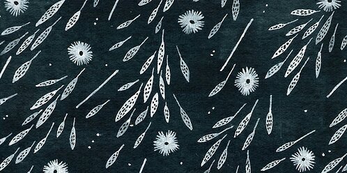 febyedw's profile banner image