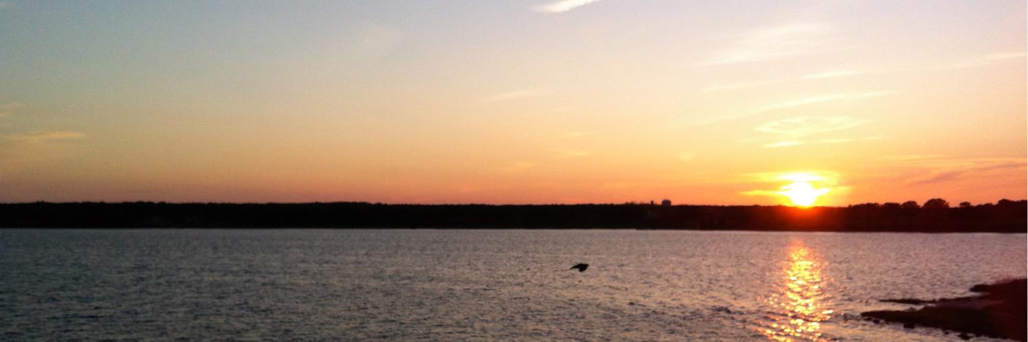 wwilsontweets's profile banner image