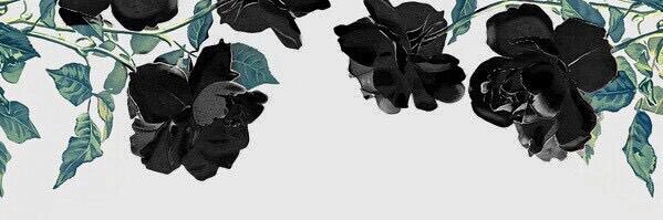 mno_mo7's profile banner image