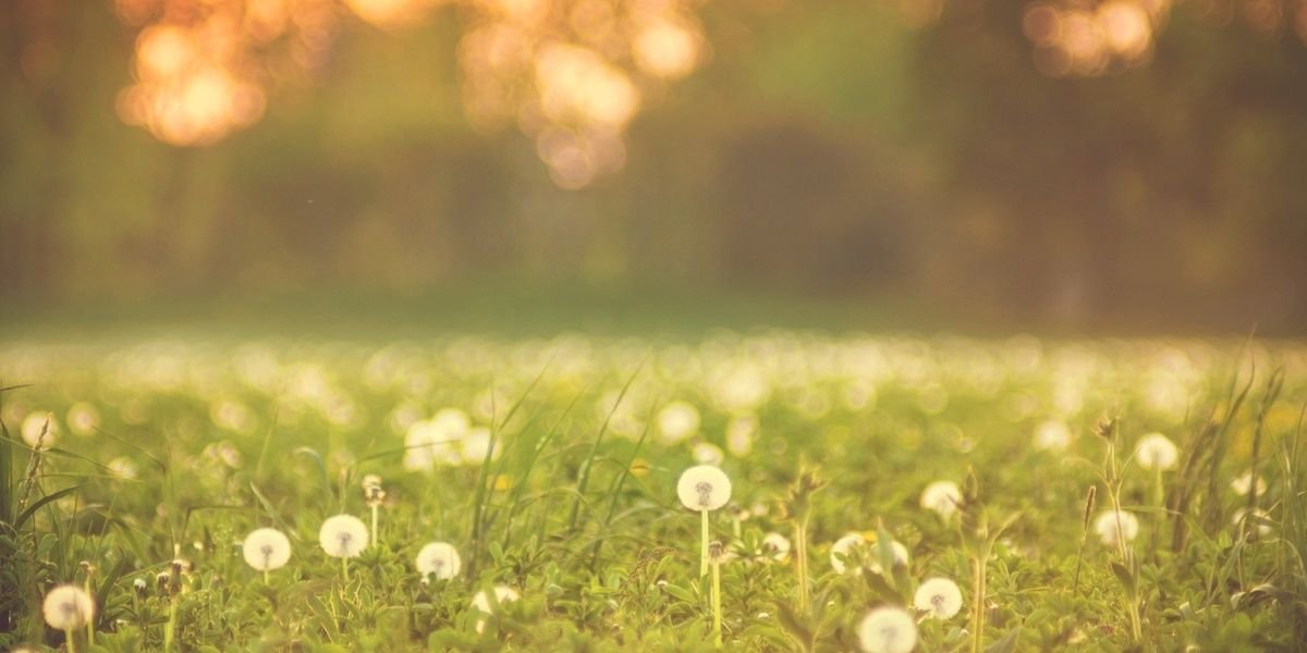 Adri Sarmiento banner