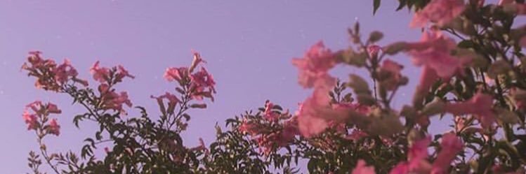 baiagfaa's profile banner image