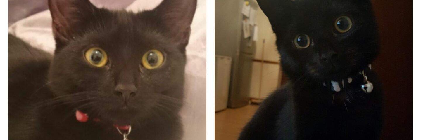 Charlieharleyb's profile banner image