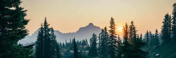 4MCrypto Profile Banner
