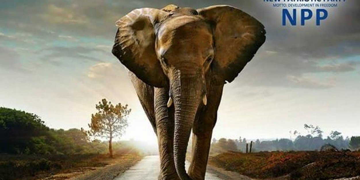 RetweetNpp_gh's profile banner image