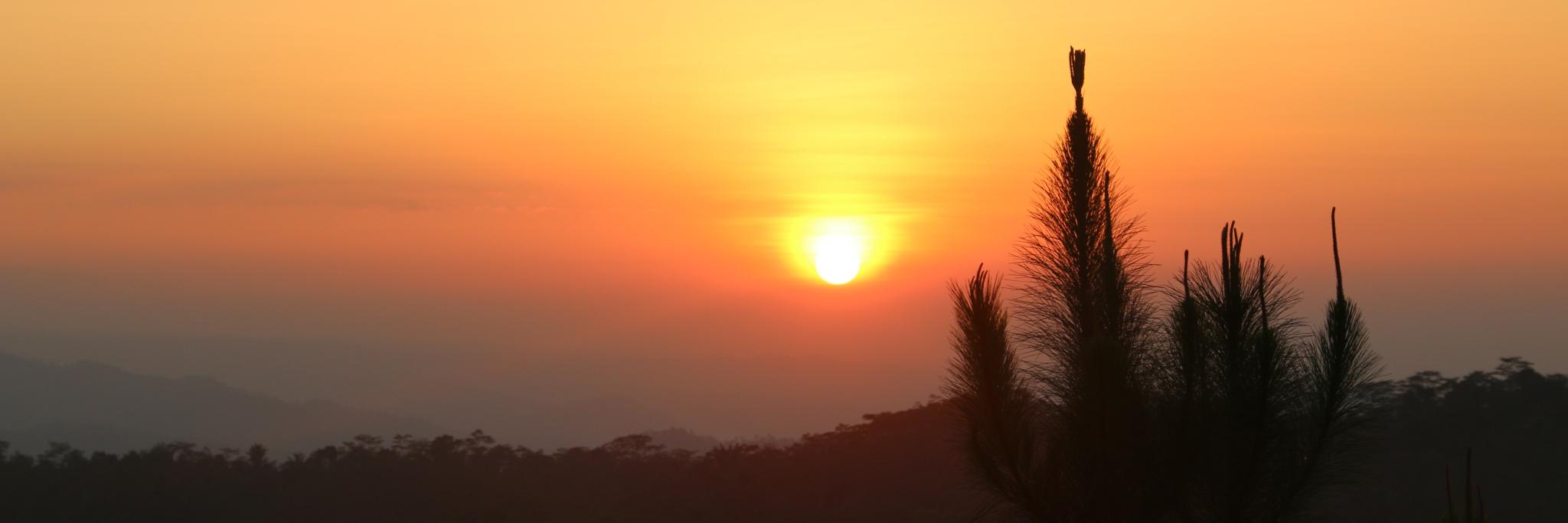 teguhhsetiawan's profile banner image