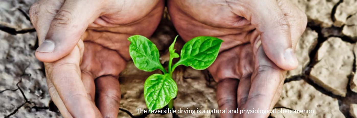 DryNet_project's profile banner image
