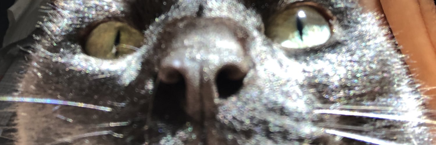 gunsnon's profile banner image