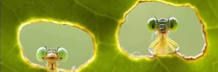 001Zandy's profile banner image