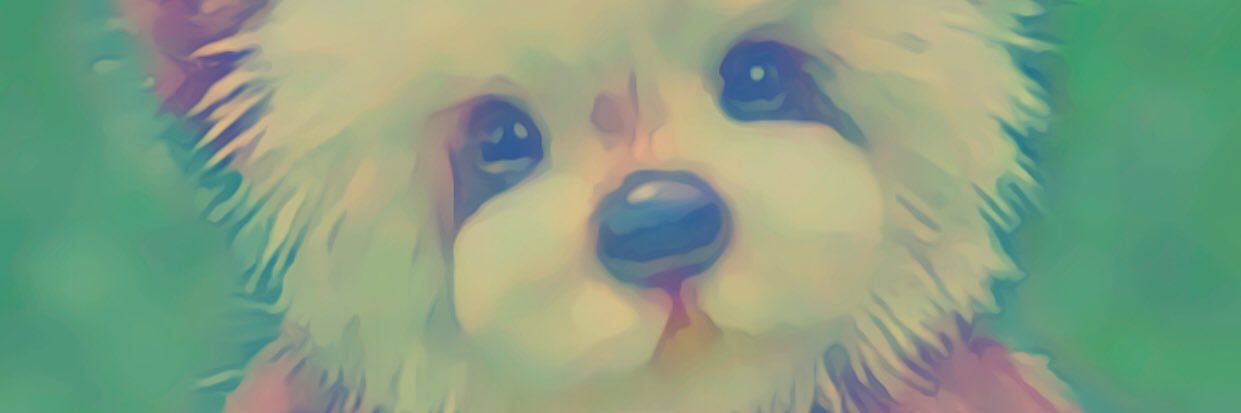 cimoore190's profile banner image
